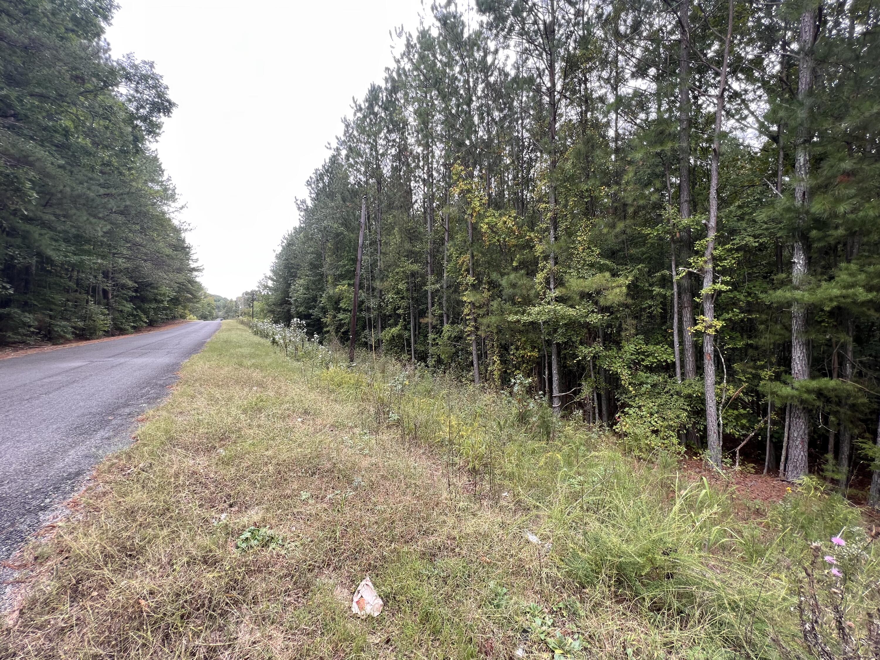 Alabama State Route 40, Valley Head, Alabama image 2