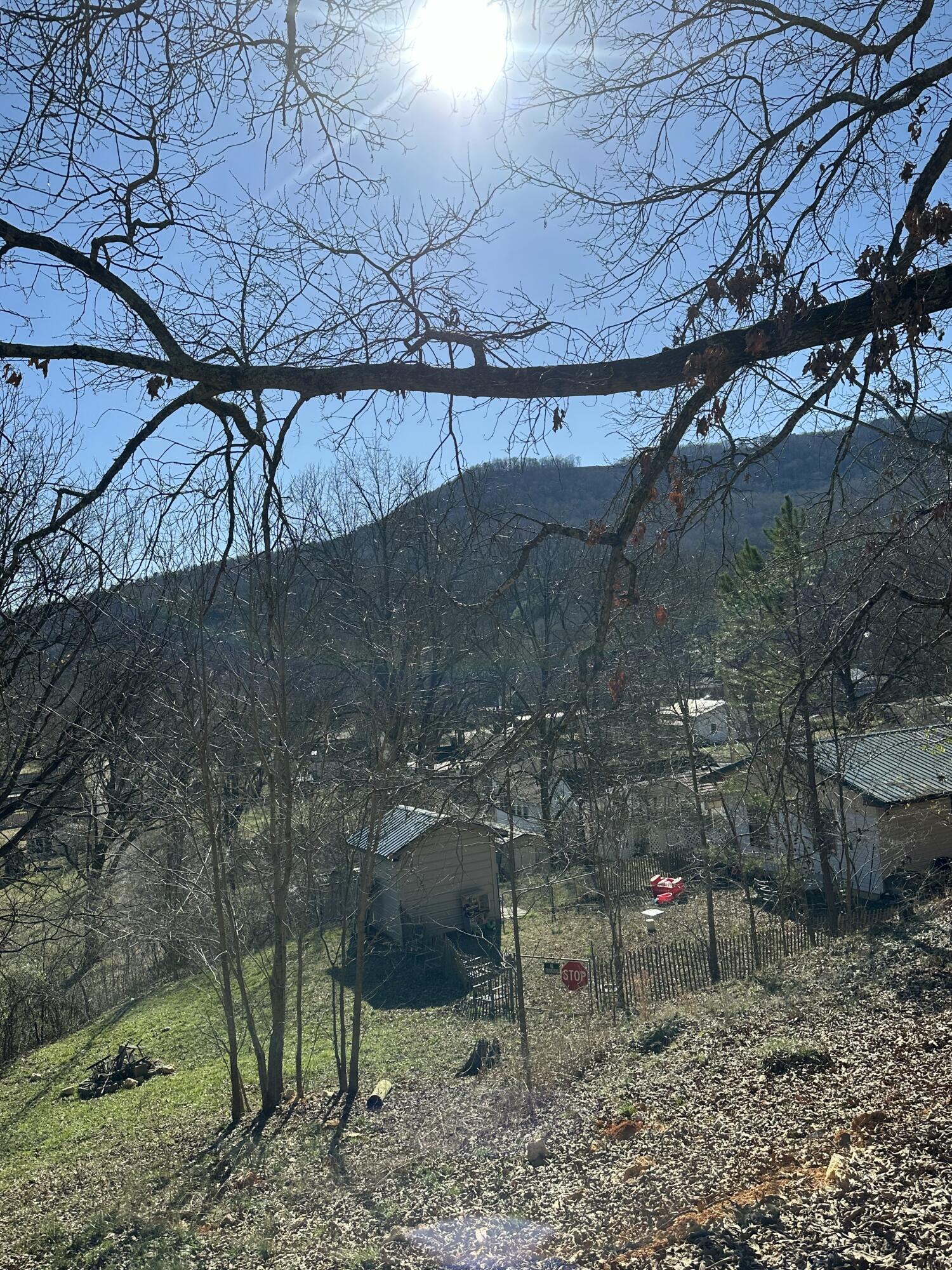 244 Raulstontown Road, South Pittsburg, Tennessee image 3