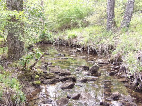 Photo of 393 Timber View Road, Pikeville, TN 37367 (MLS # 1390948)