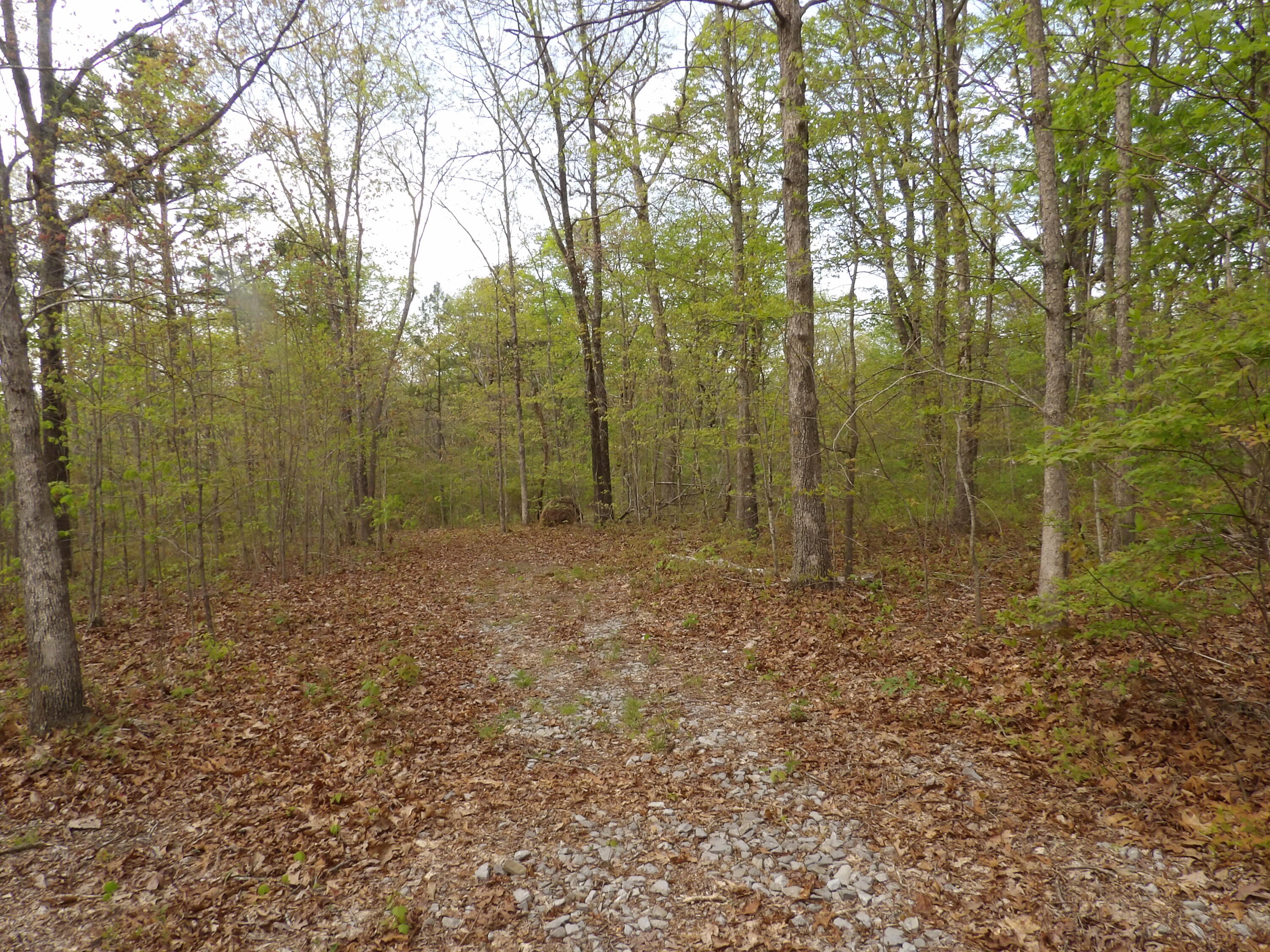 393 Timber View Road, Pikeville, Tennessee image 11