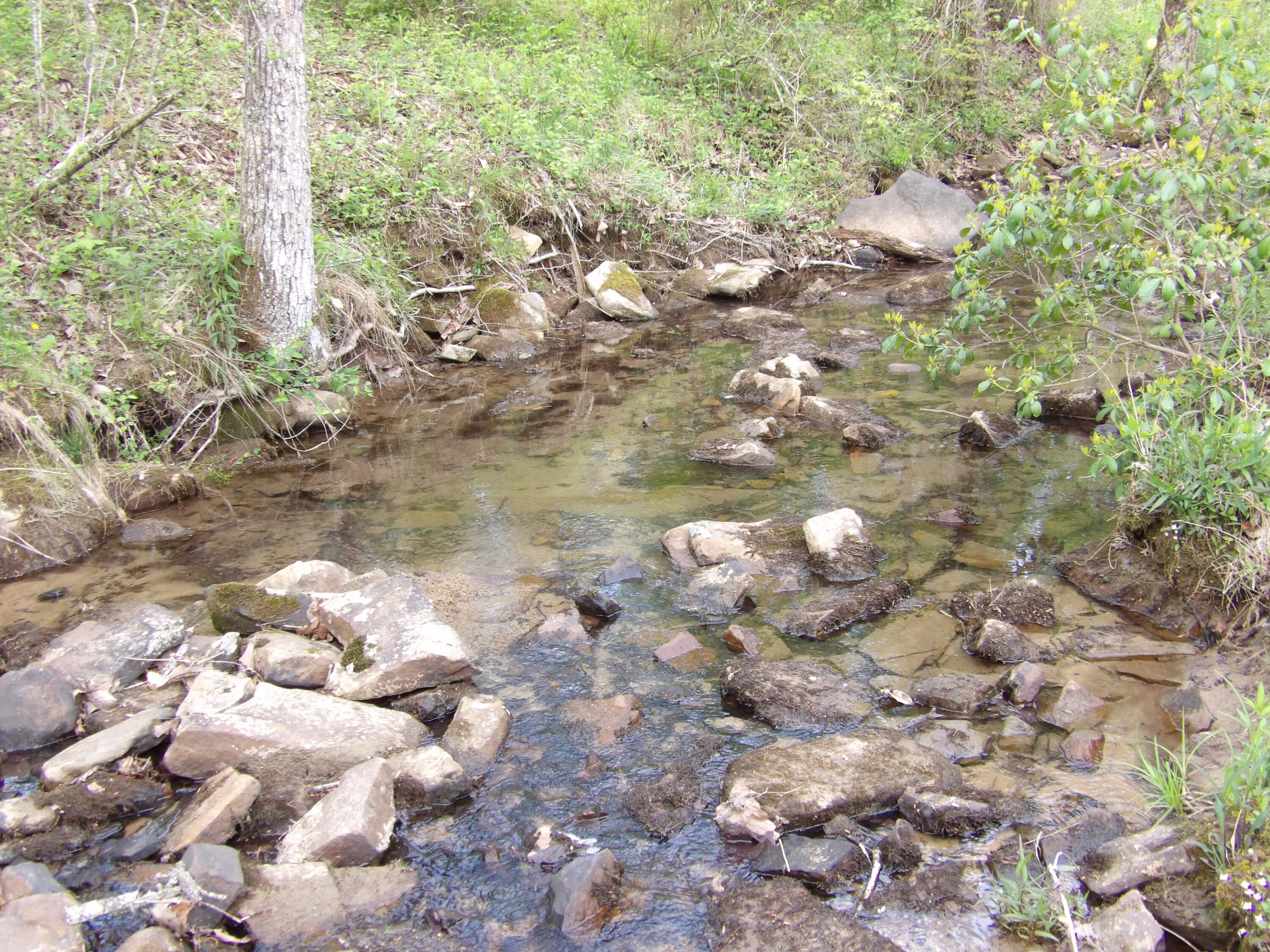 393 Timber View Road, Pikeville, Tennessee image 4