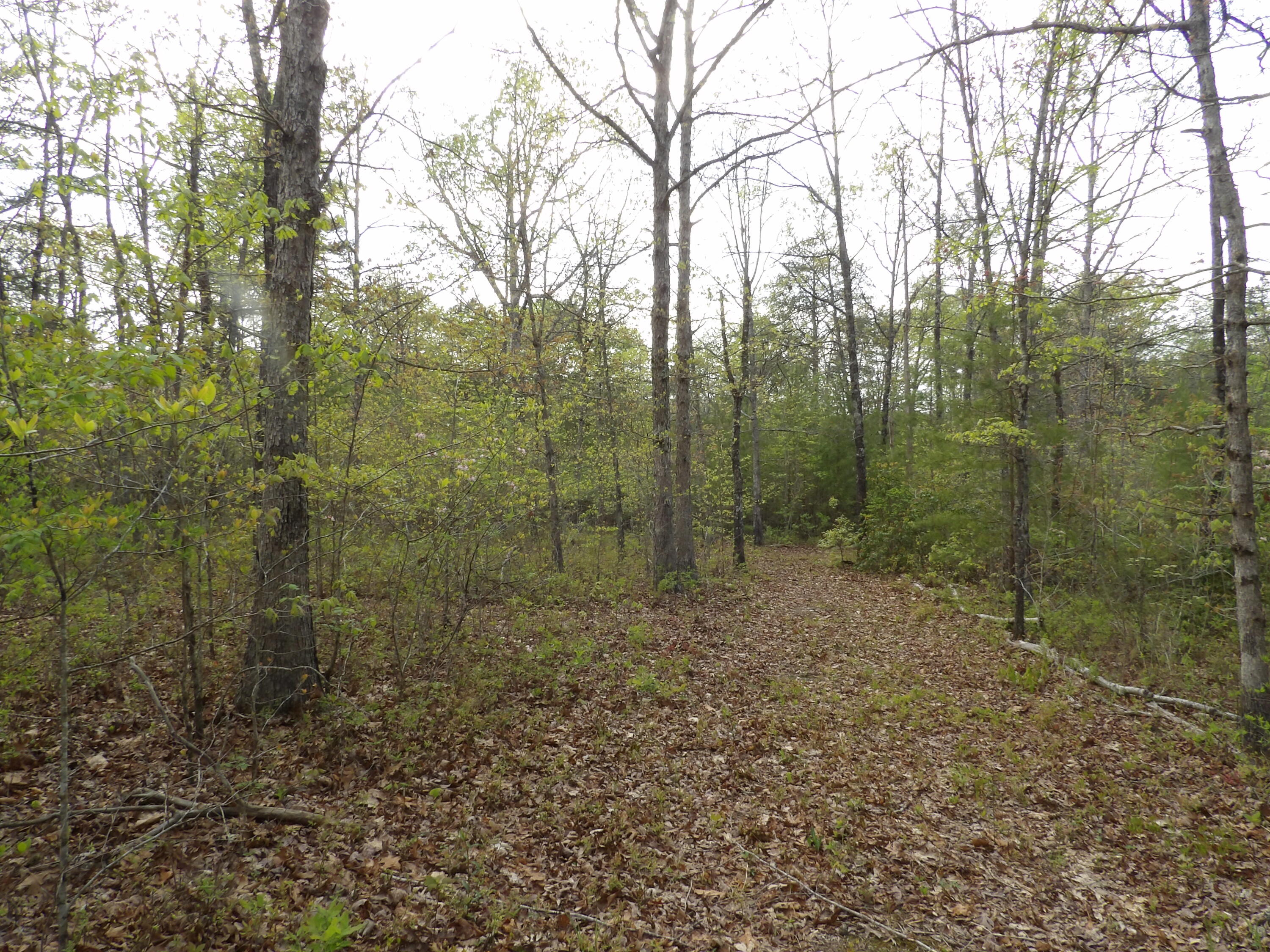 393 Timber View Road, Pikeville, Tennessee image 17