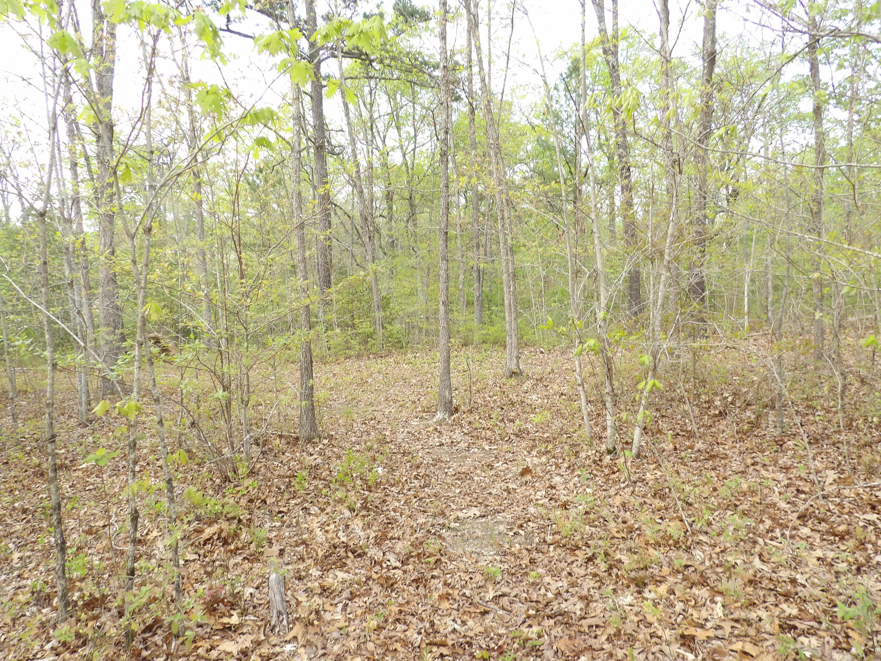 393 Timber View Road, Pikeville, Tennessee image 15