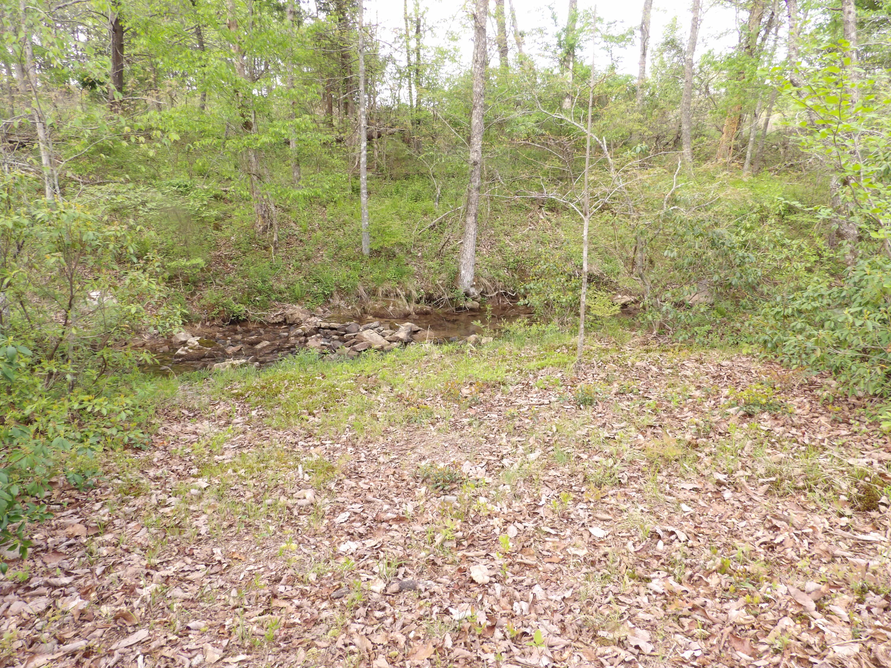 393 Timber View Road, Pikeville, Tennessee image 9