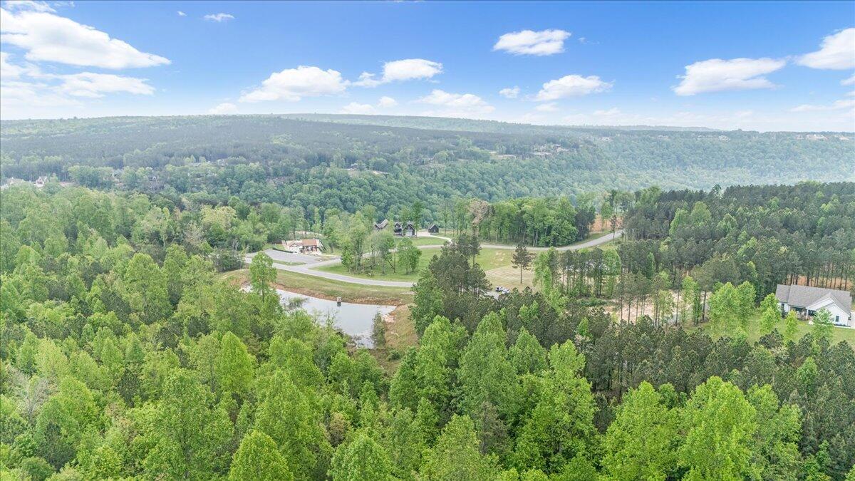 6740 Raulston Falls Road #JF91, Jasper, Tennessee image 9