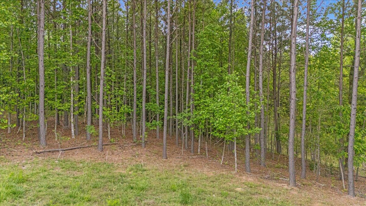 6740 Raulston Falls Road #JF91, Jasper, Tennessee image 4