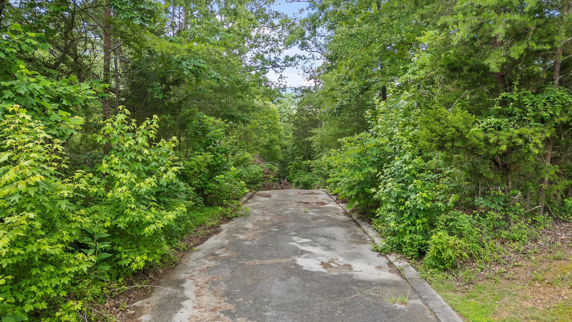 Flintstone, Georgia 30725, United States, ,Land,Active,152836