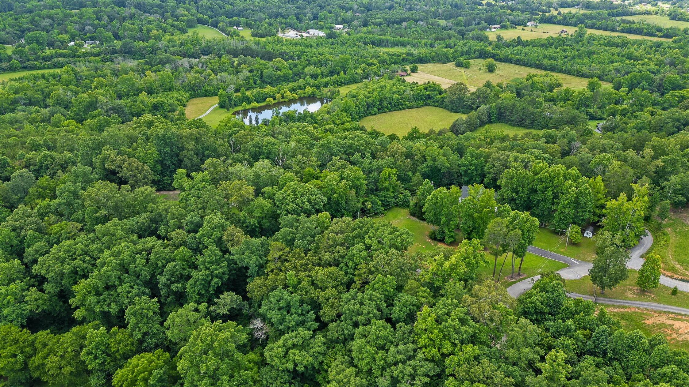 Flintstone, Georgia 30725, United States, ,Land,Active,152836