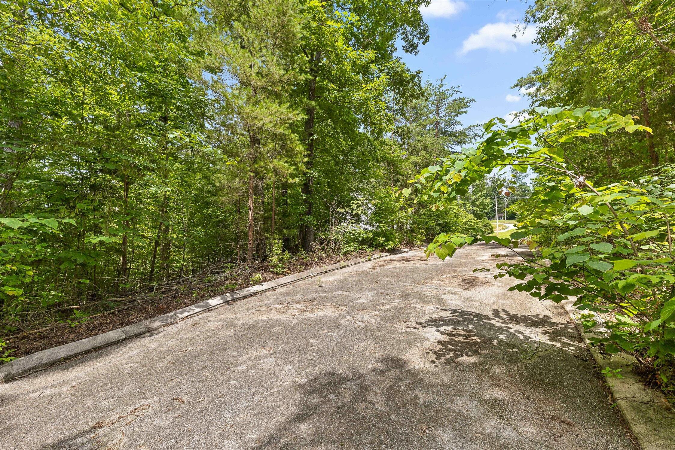 Flintstone, Georgia 30725, United States, ,Land,Active,152836