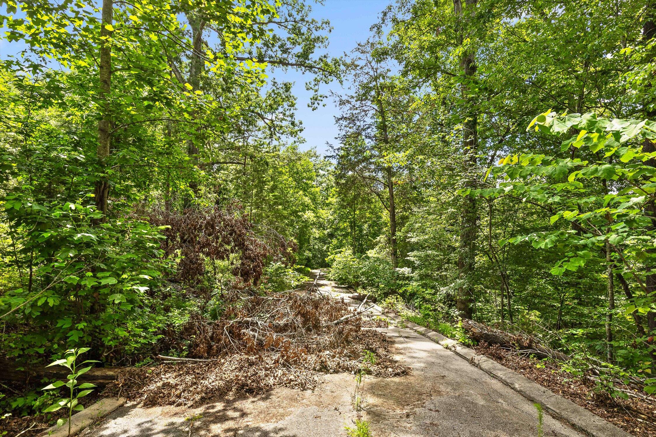 Flintstone, Georgia 30725, United States, ,Land,Active,152836