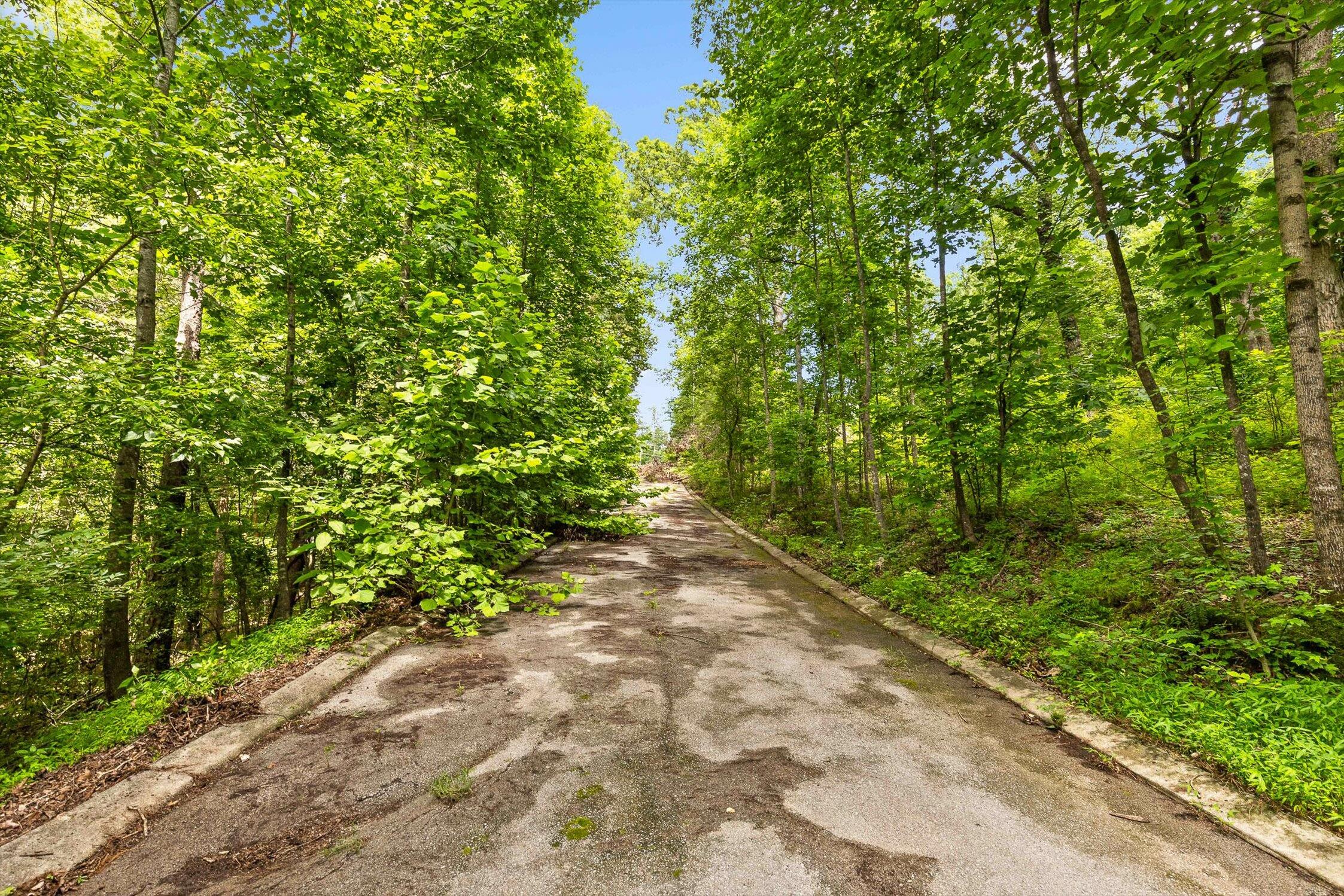 Flintstone, Georgia 30725, United States, ,Land,Active,152836