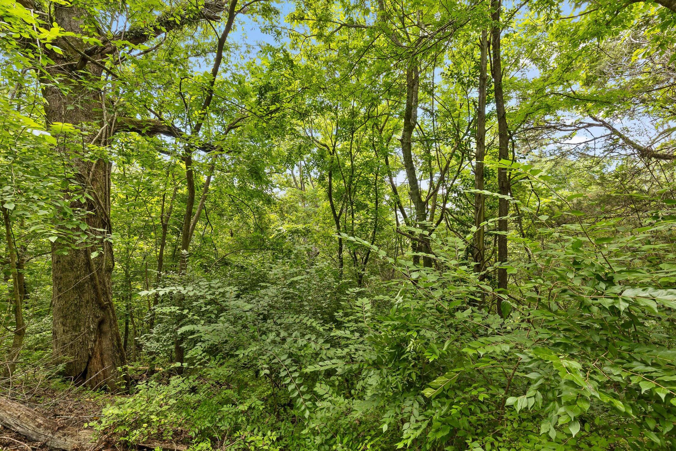 Flintstone, Georgia 30725, United States, ,Land,Active,152836