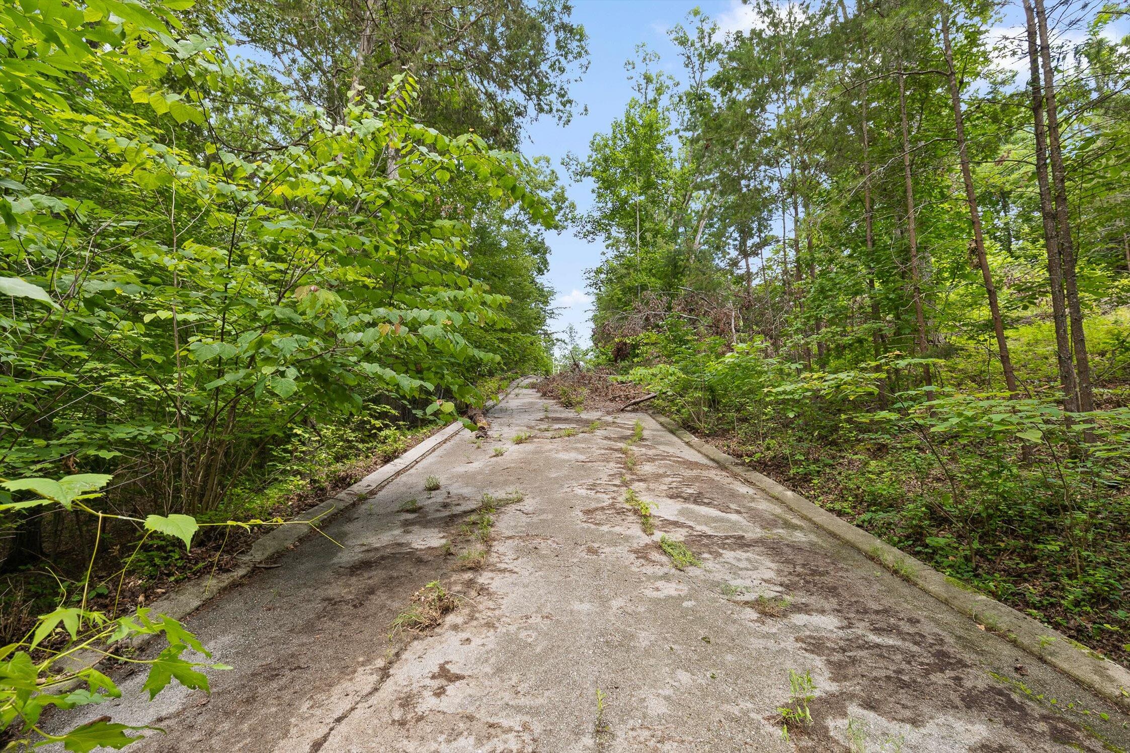 Flintstone, Georgia 30725, United States, ,Land,Active,152836