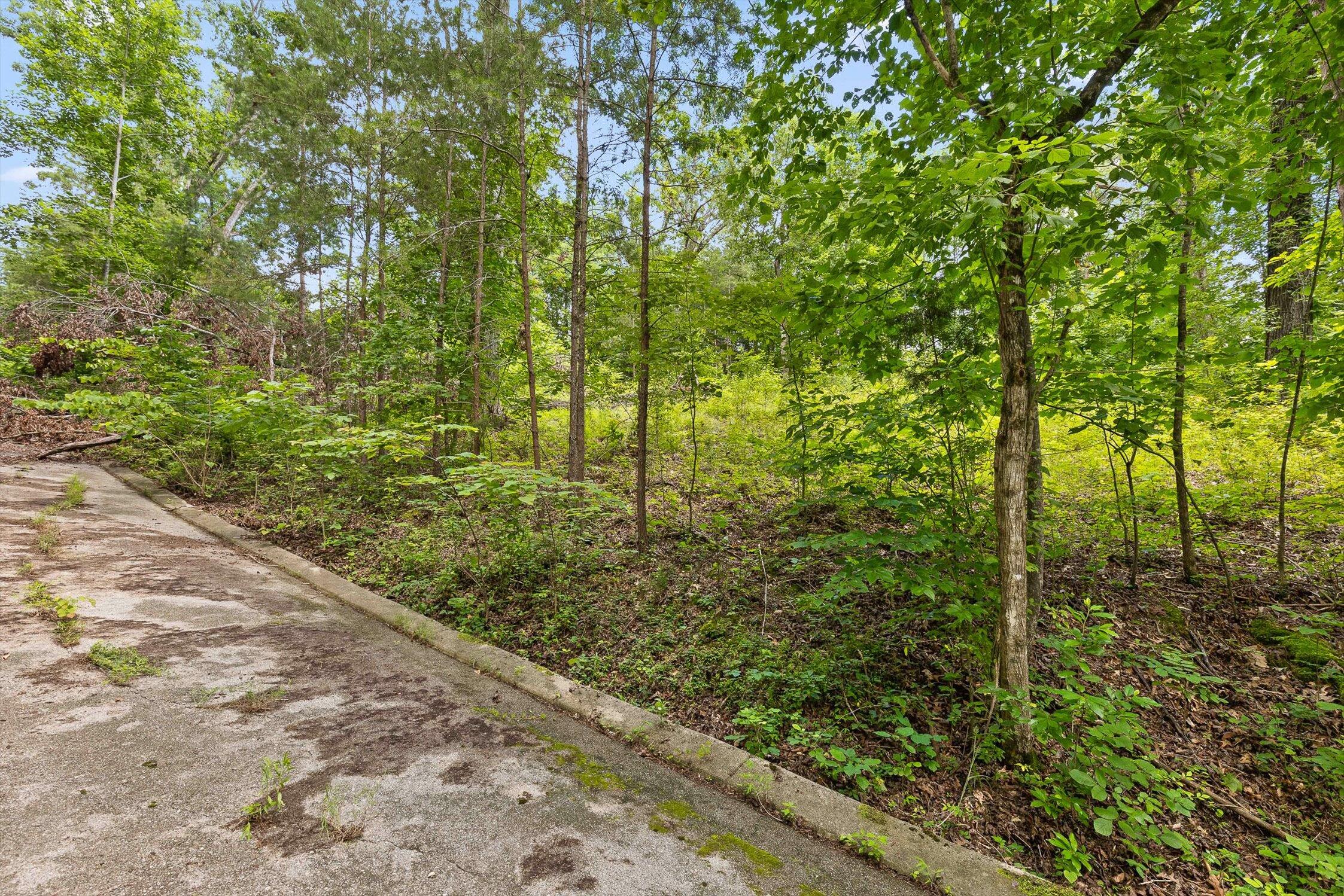 Flintstone, Georgia 30725, United States, ,Land,Active,152836