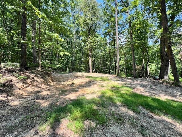 322 Baggett Road, Ringgold, Georgia image 16