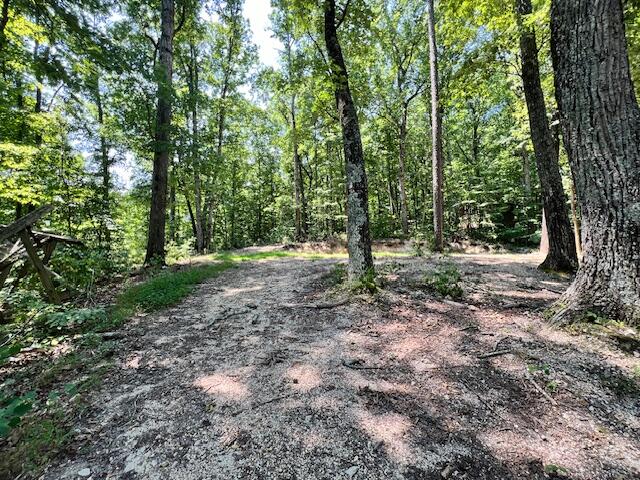 322 Baggett Road, Ringgold, Georgia image 15