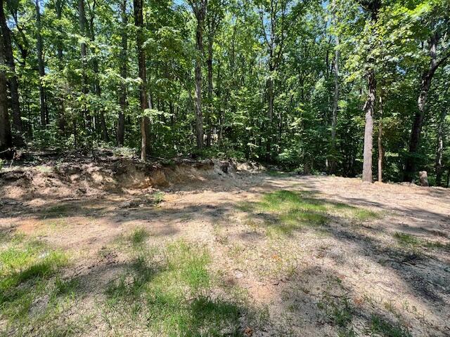 322 Baggett Road, Ringgold, Georgia image 1