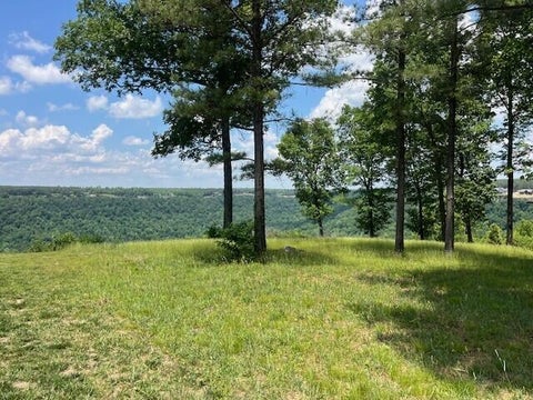 Vacant Land For Sale - 615 Cumberland Circle<br/> Jasper, TN 37347