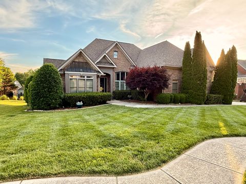 Photo of 9219 Crystal Brook Drive, Apison, TN 37302 (MLS # 1534862)