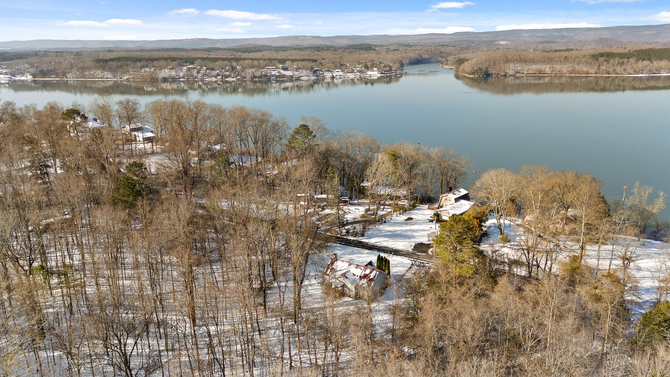 14319 Bluffview Drive, Birchwood, Tennessee image 8