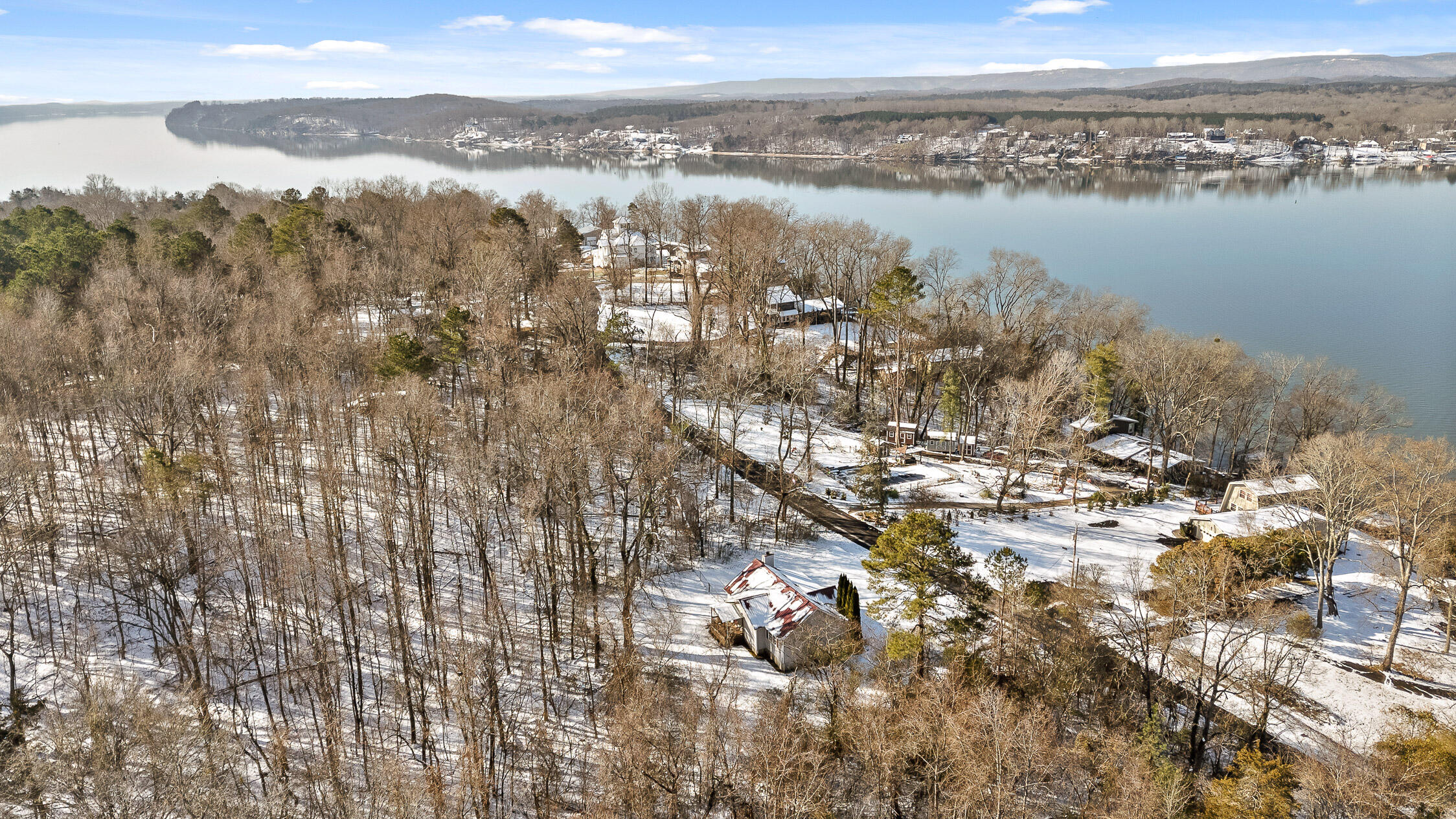 14319 Bluffview Drive, Birchwood, Tennessee image 5