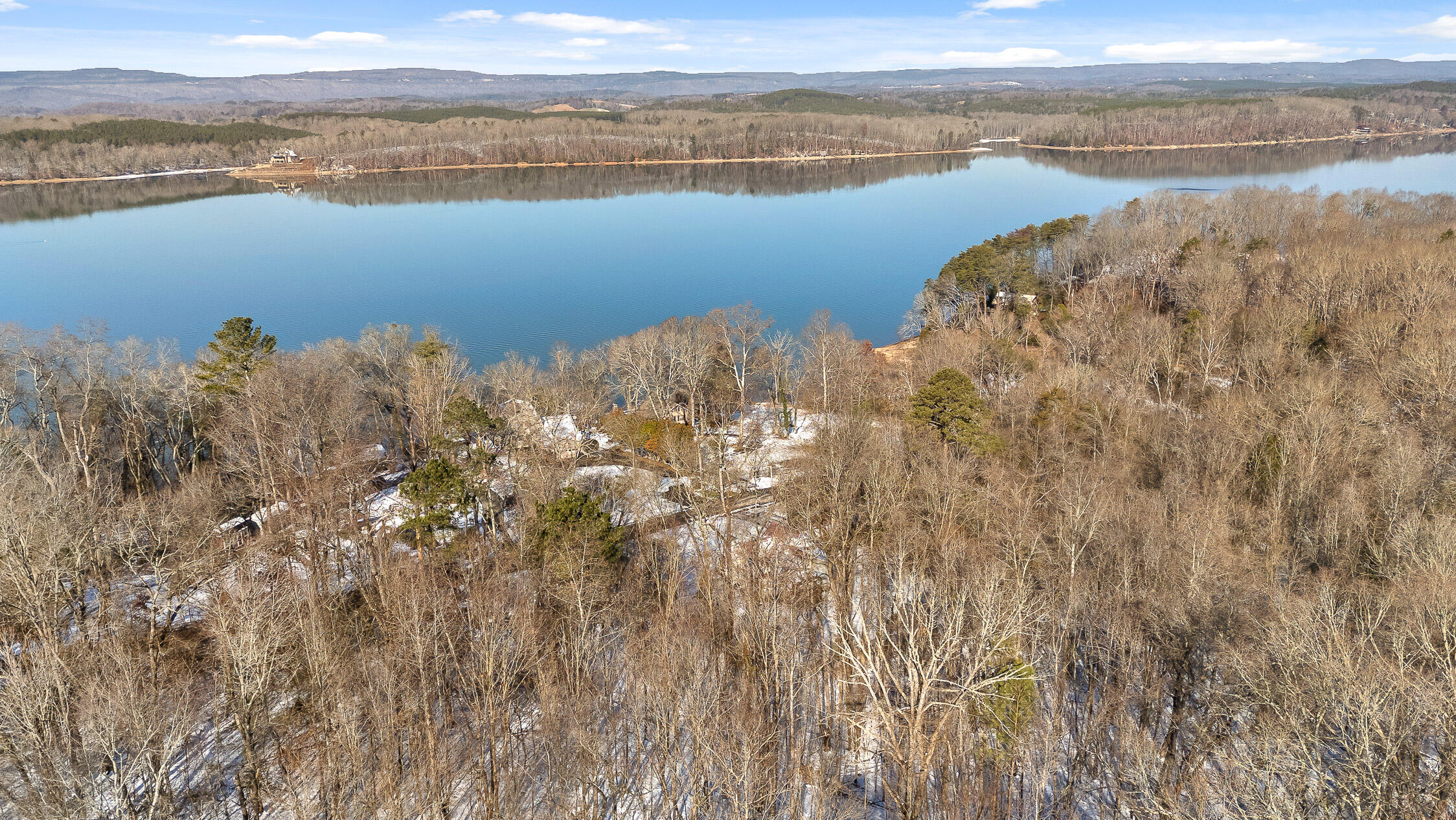 14319 Bluffview Drive, Birchwood, Tennessee image 43