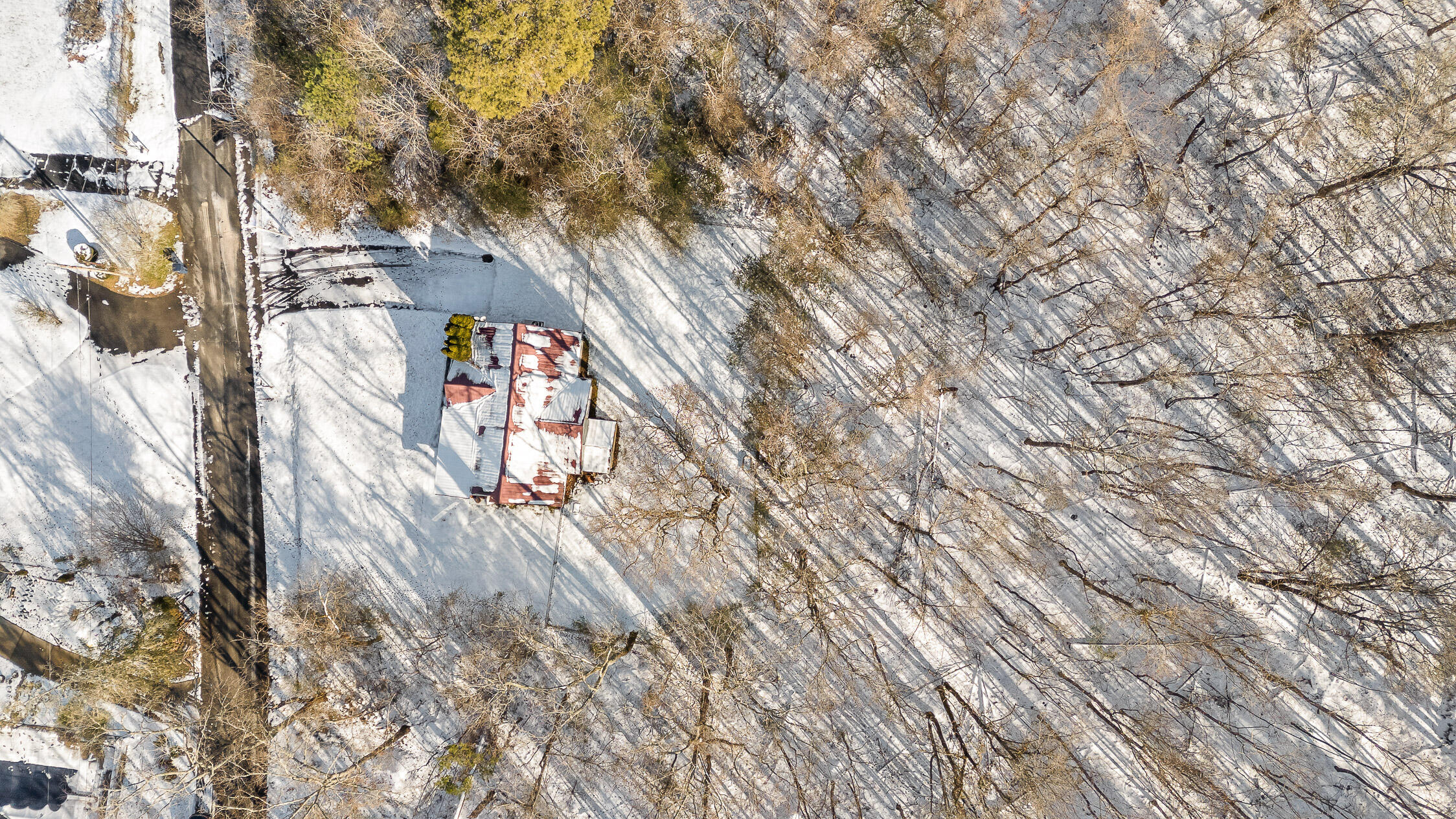 14319 Bluffview Drive, Birchwood, Tennessee image 37
