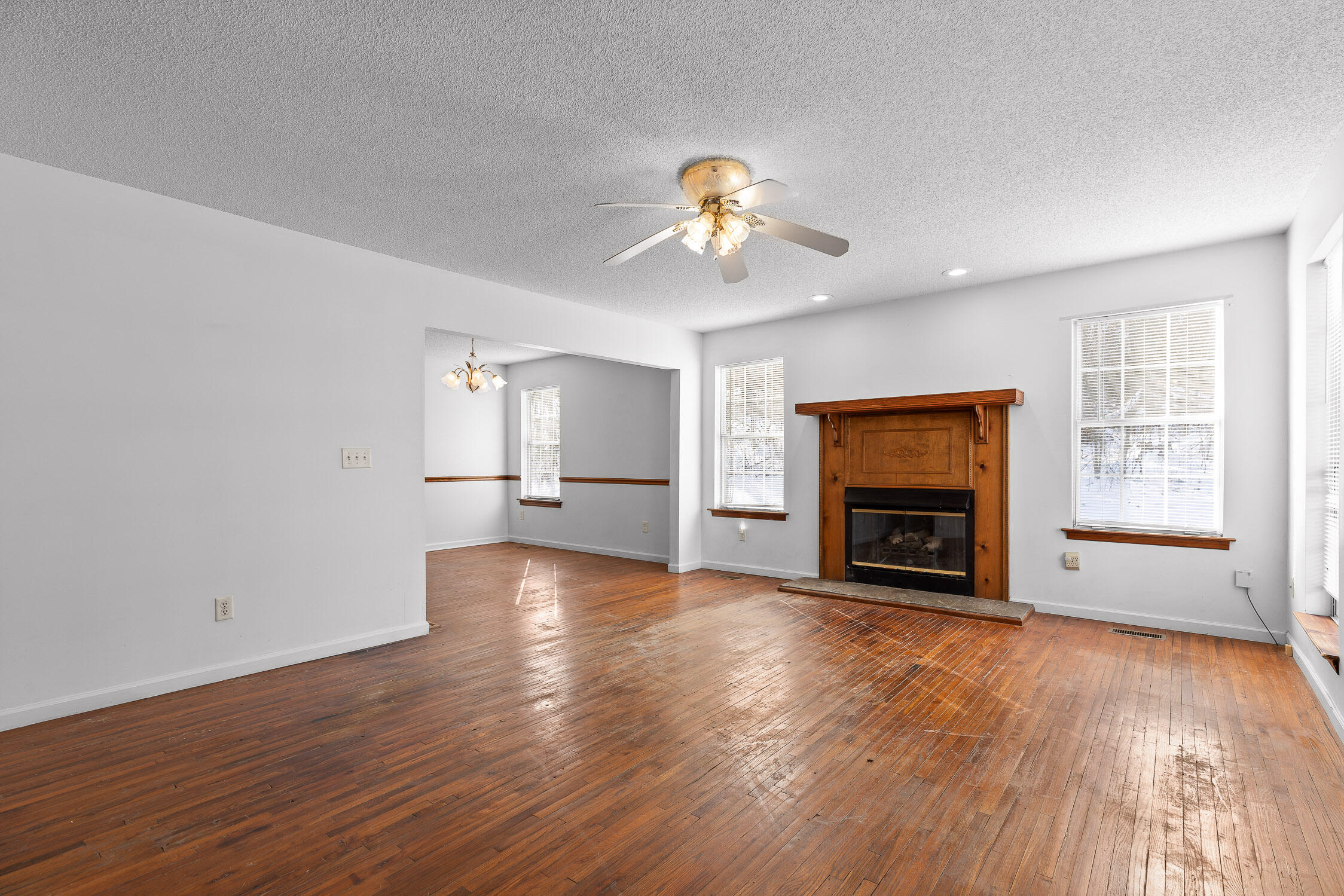 14319 Bluffview Drive, Birchwood, Tennessee image 12