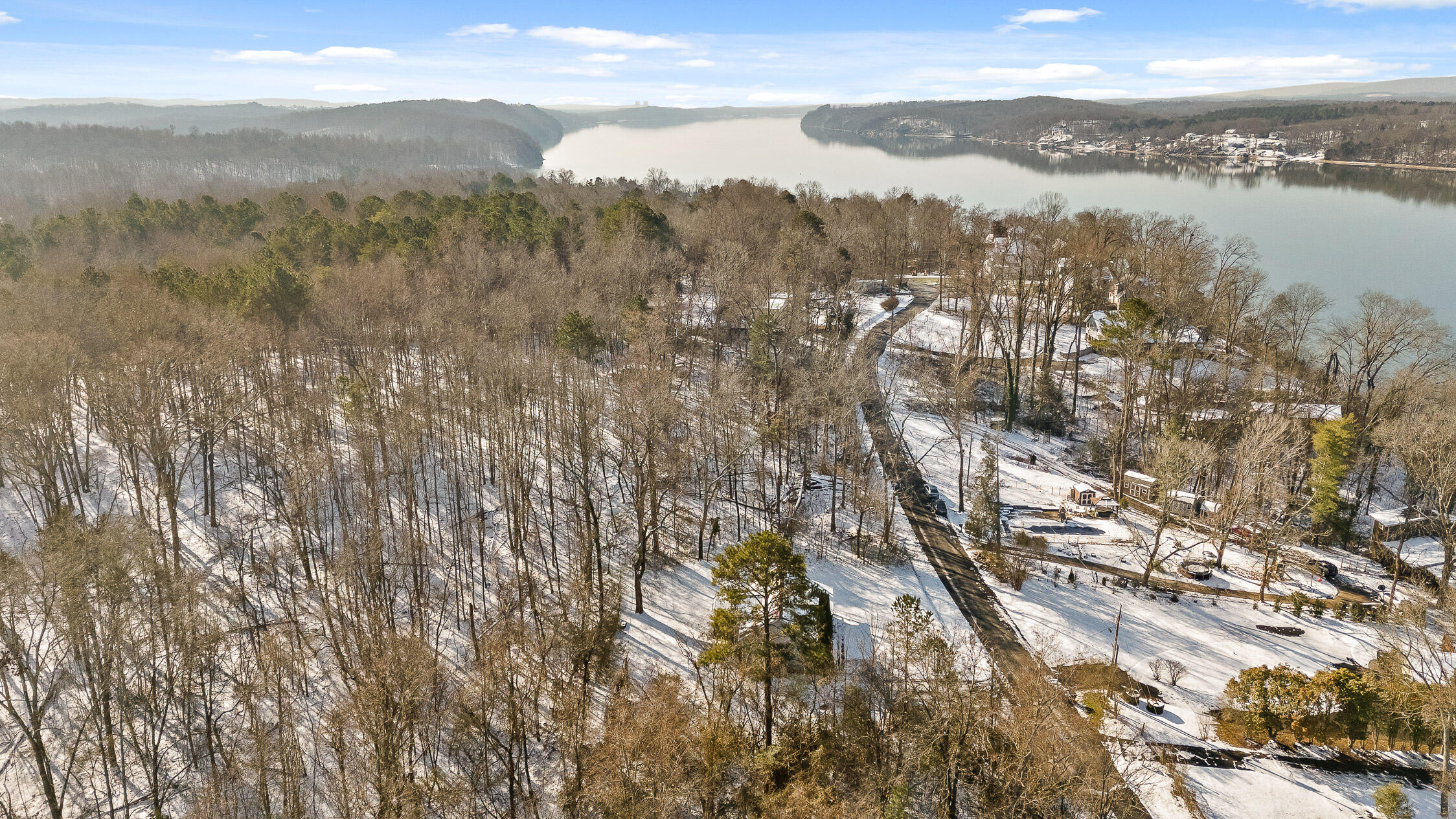 14319 Bluffview Drive, Birchwood, Tennessee image 38