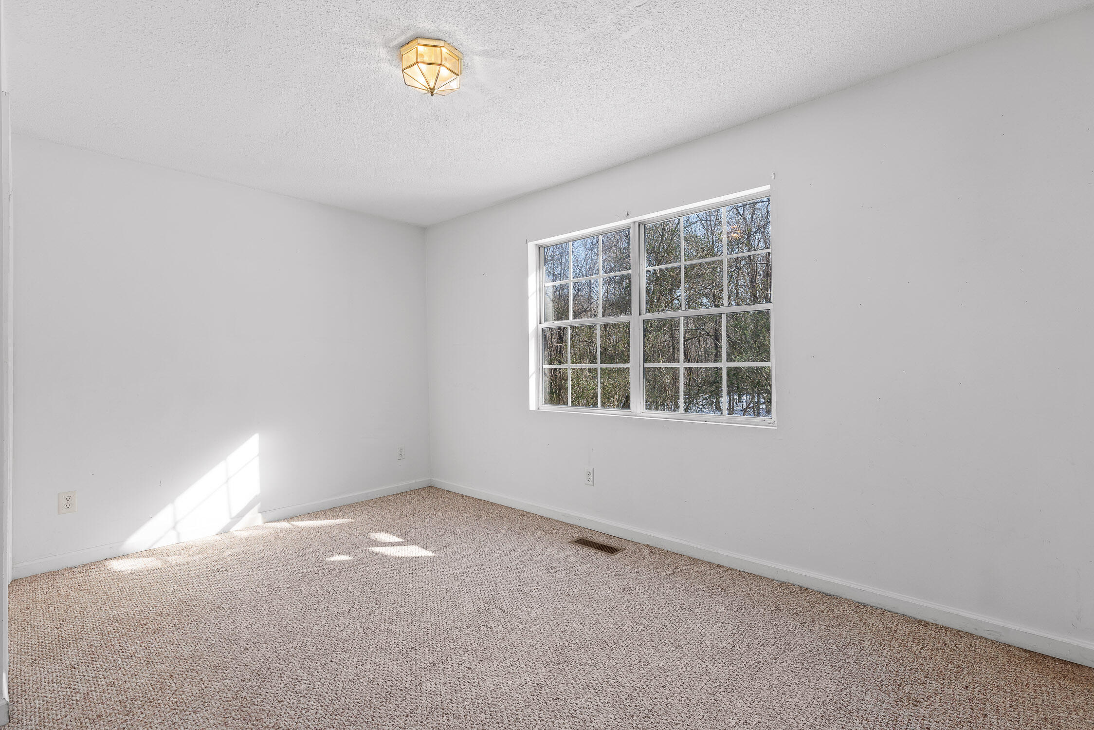 14319 Bluffview Drive, Birchwood, Tennessee image 24