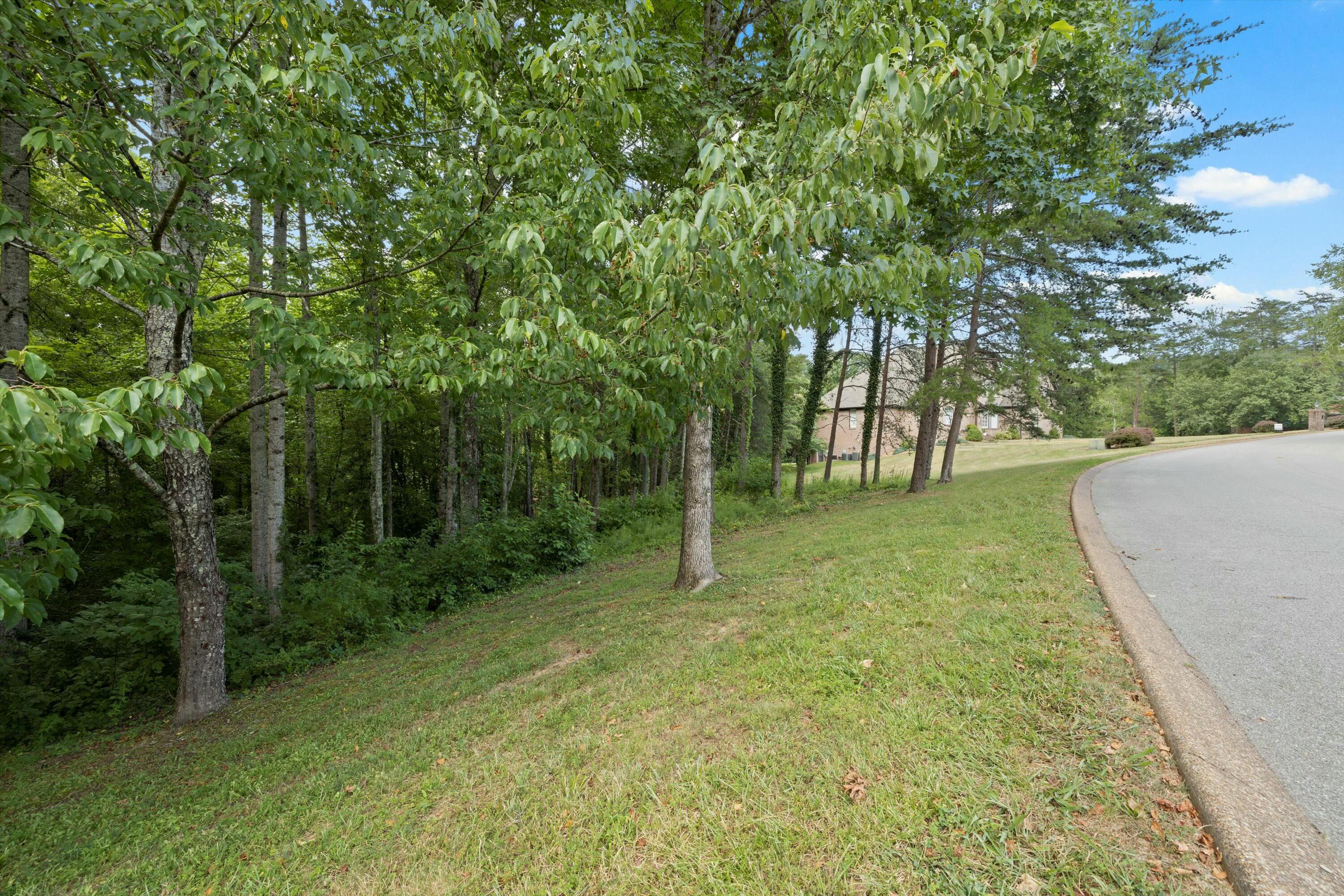 10 St Ives Way, Signal Mountain, Tennessee image 2