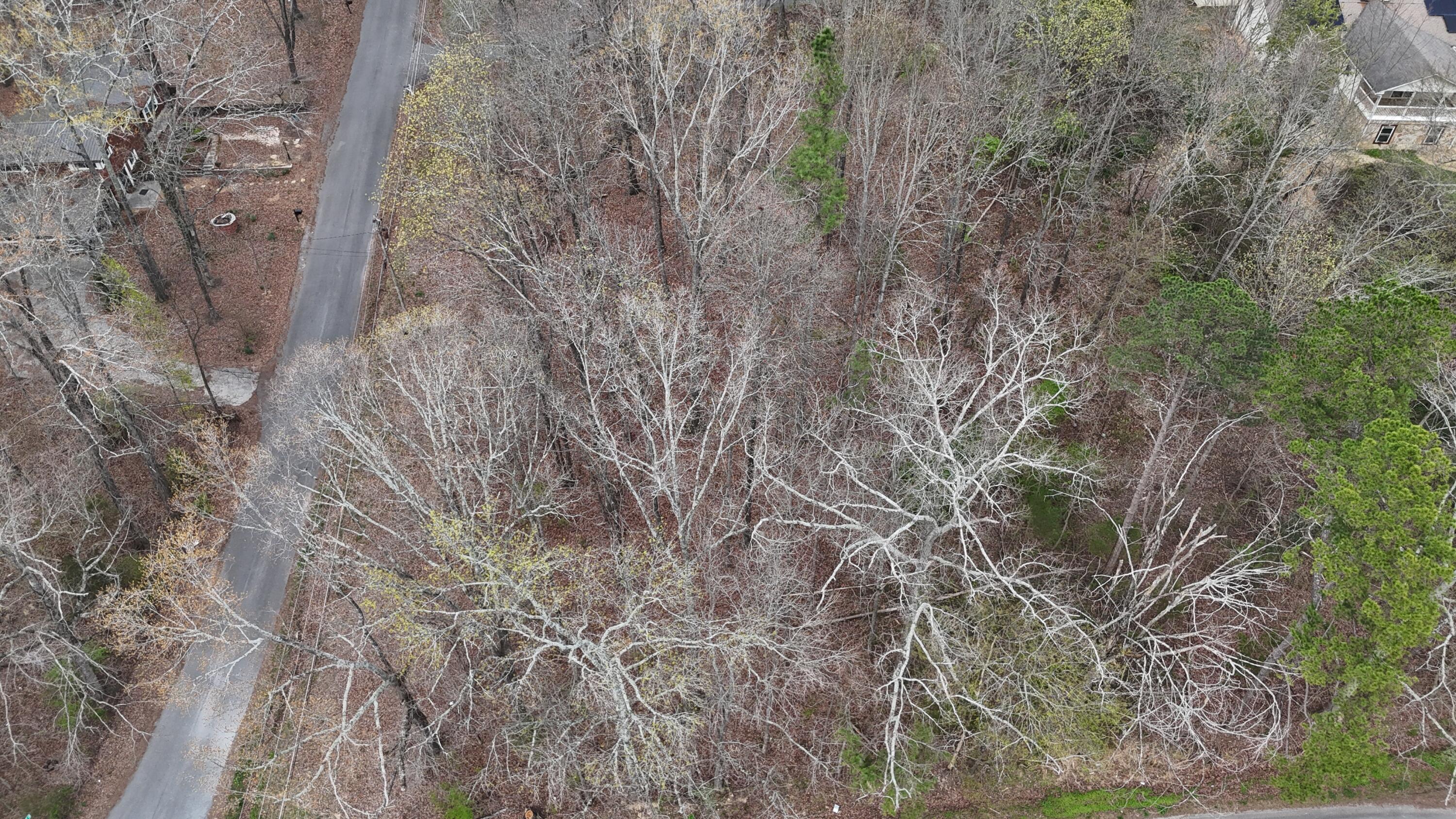 Lot 53/54 Calfee Lane SE