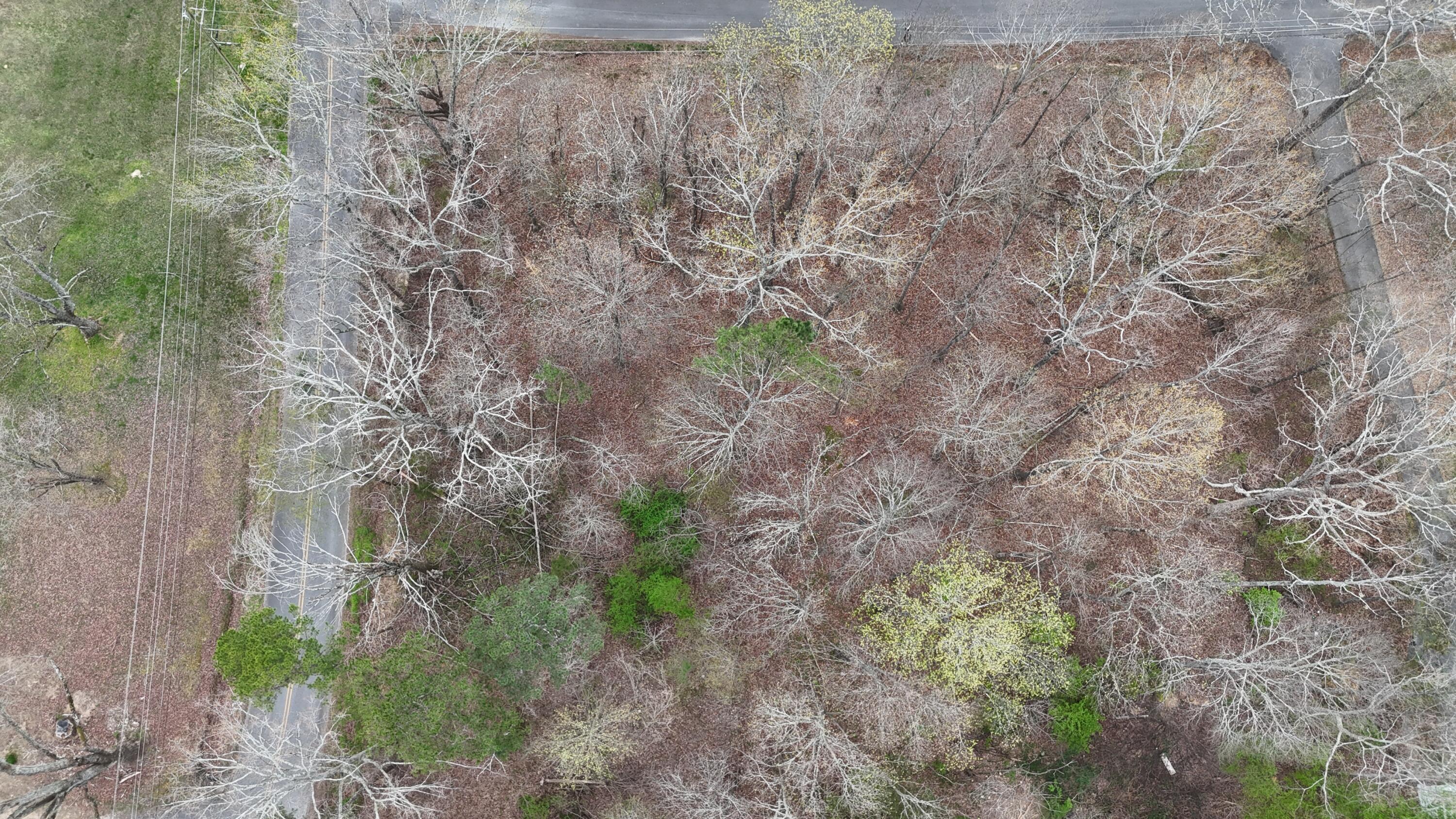 Lot 53/54 Calfee Lane SE