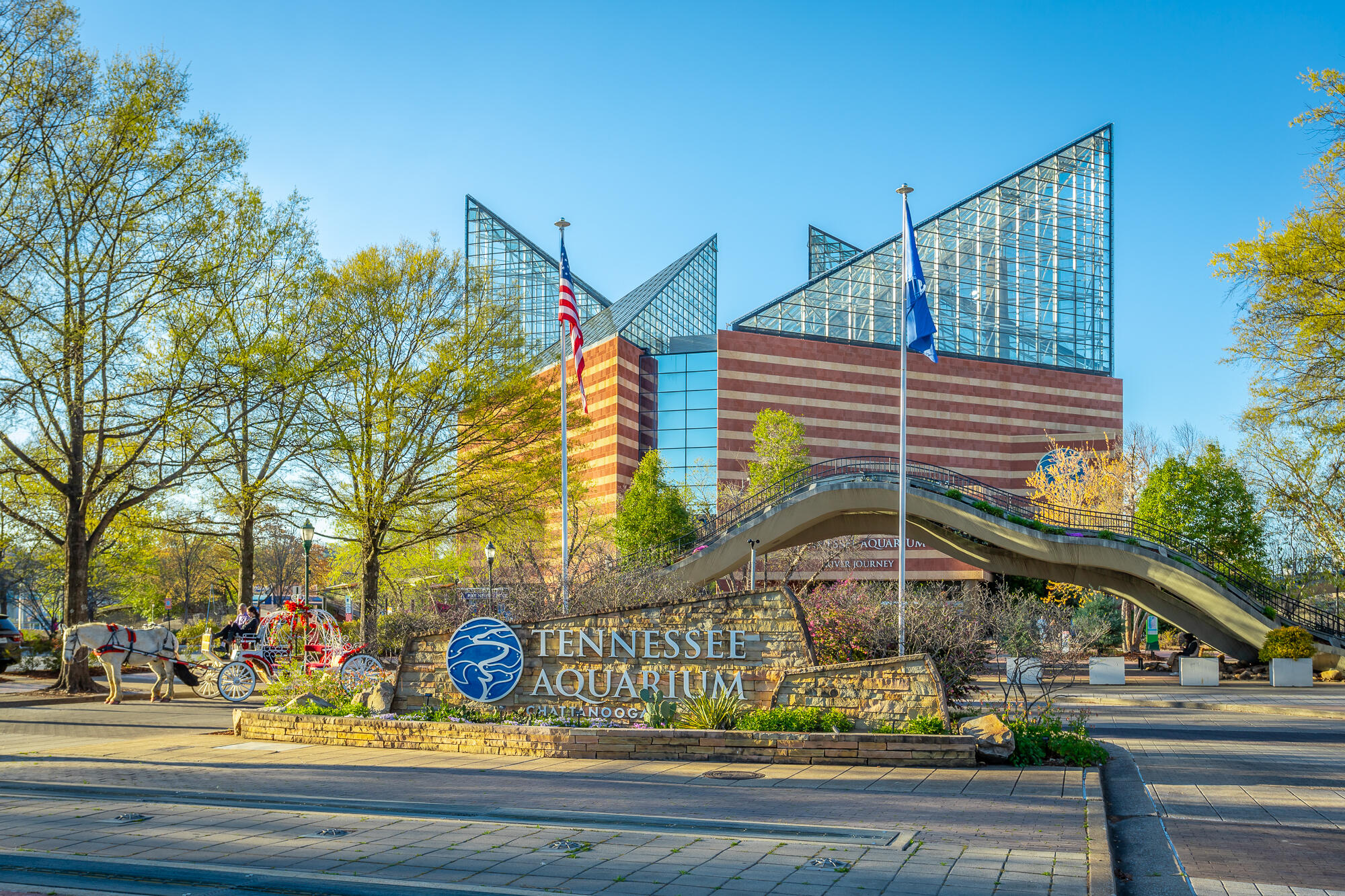 129 Walnut Street #021, Chattanooga, Tennessee image 45