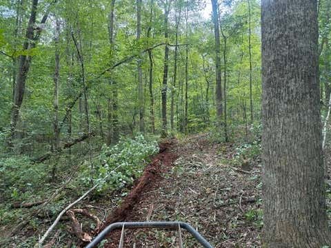 Photo of Lot 1 Tipple Road Road, Tracy City, TN 37387 (MLS # 1540721)