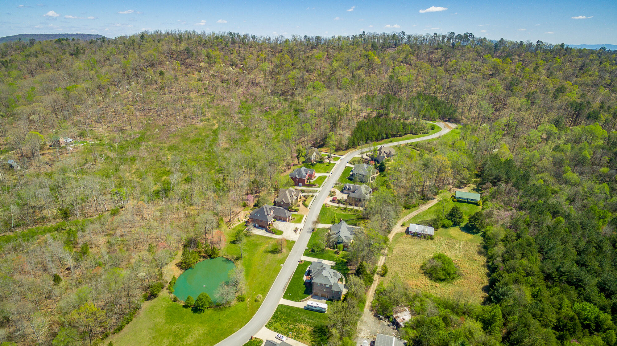 9570 Legacy Oaks Drive, Ooltewah, Tennessee image 7