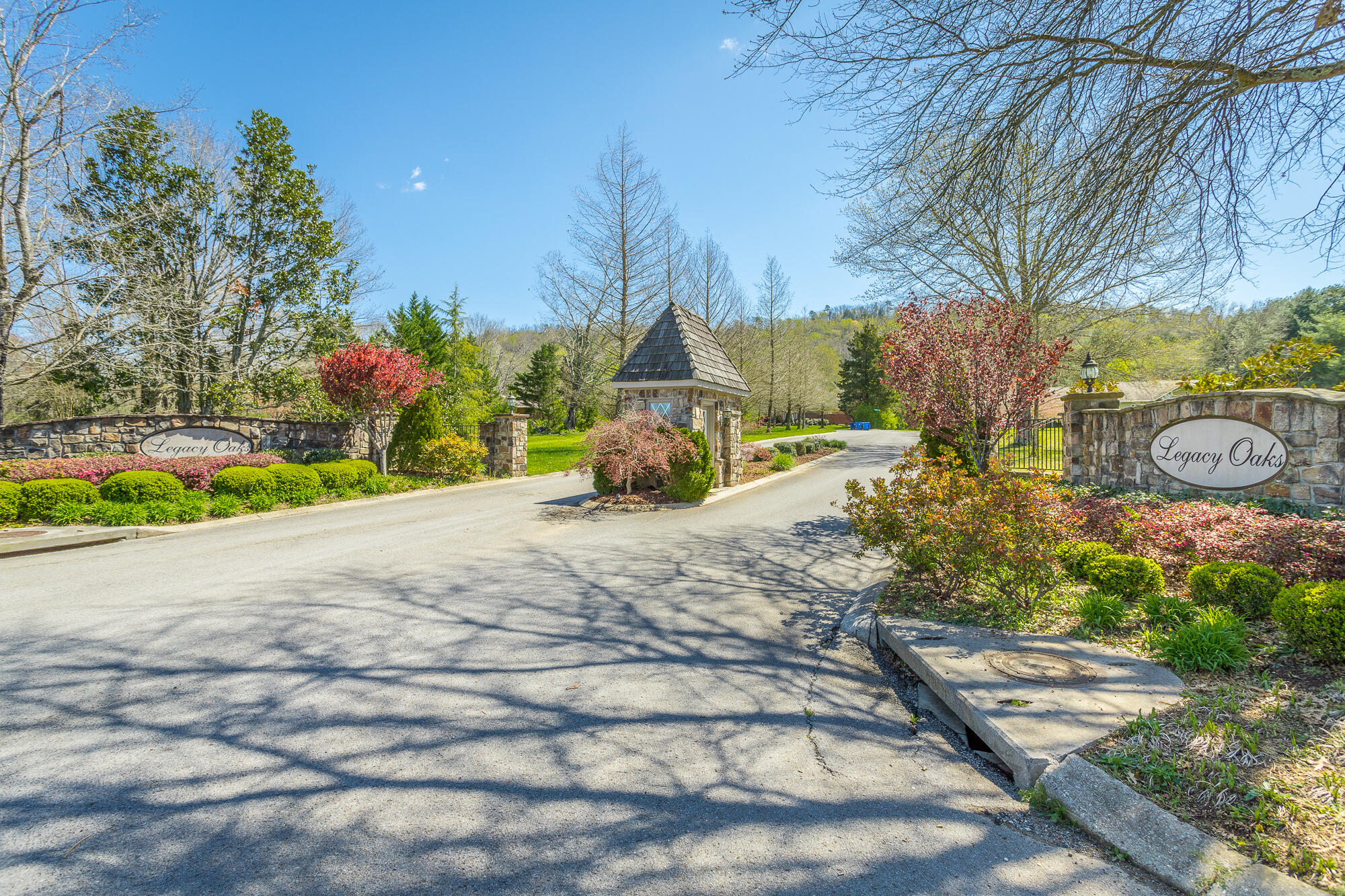 9570 Legacy Oaks Drive, Ooltewah, Tennessee image 8