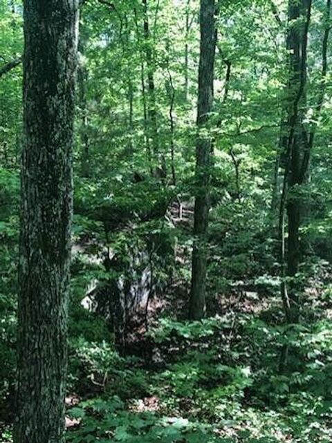 Tiny photo for 2818 Wilson Avenue, Signal Mountain, TN 37377 (MLS # 1526945)