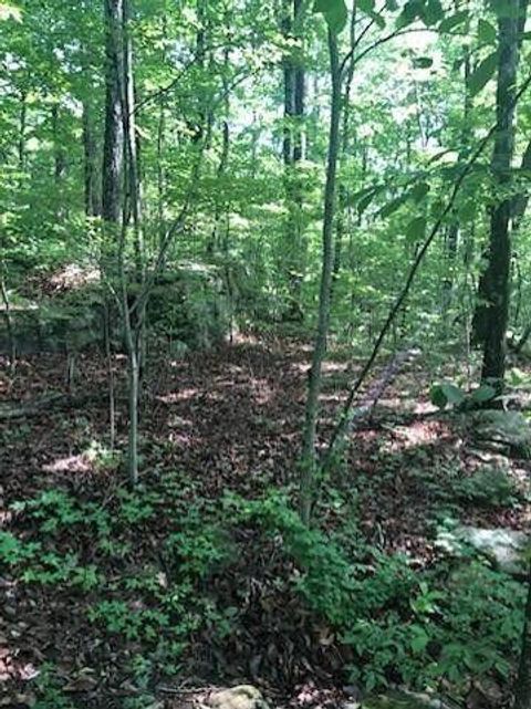 Tiny photo for 2818 Wilson Avenue, Signal Mountain, TN 37377 (MLS # 1526945)