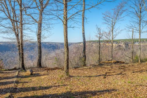 Photo of 0 Cumberland Circle, Jasper, TN 37347 (MLS # 1530894)