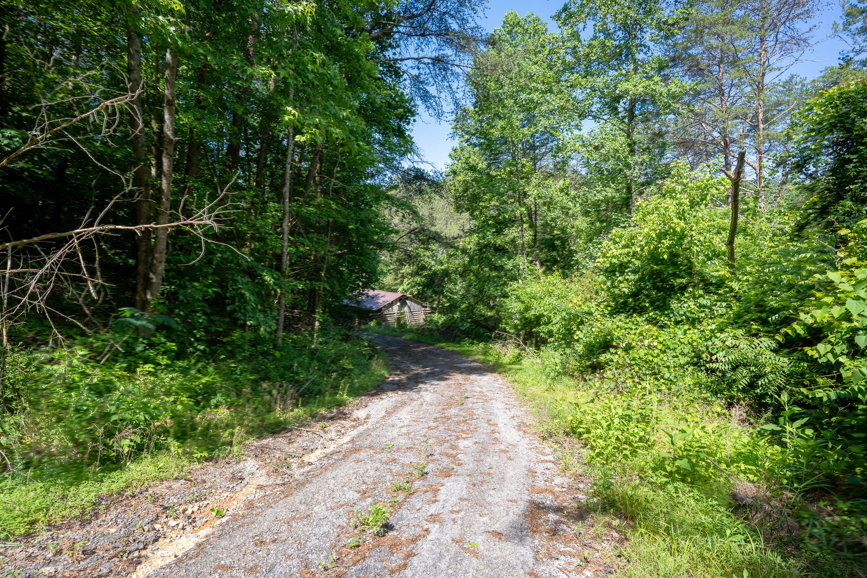 881 Byrds Chapel Drive, Rising Fawn, Georgia image 4