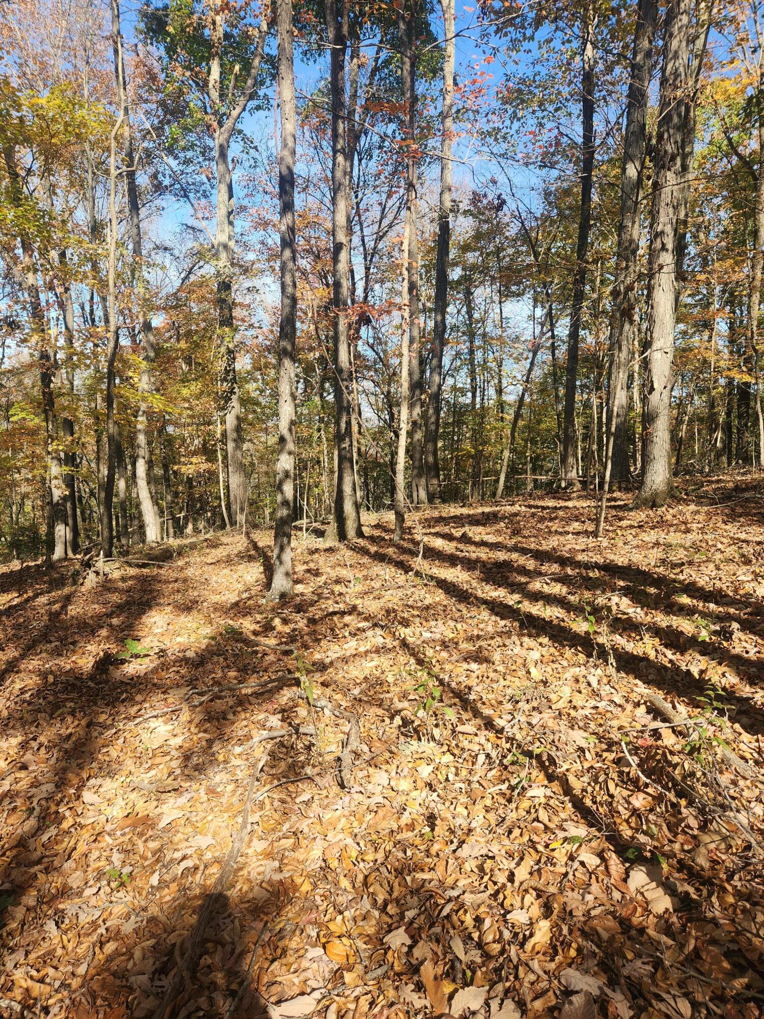 F Graham Road, Dunlap, Tennessee image 10
