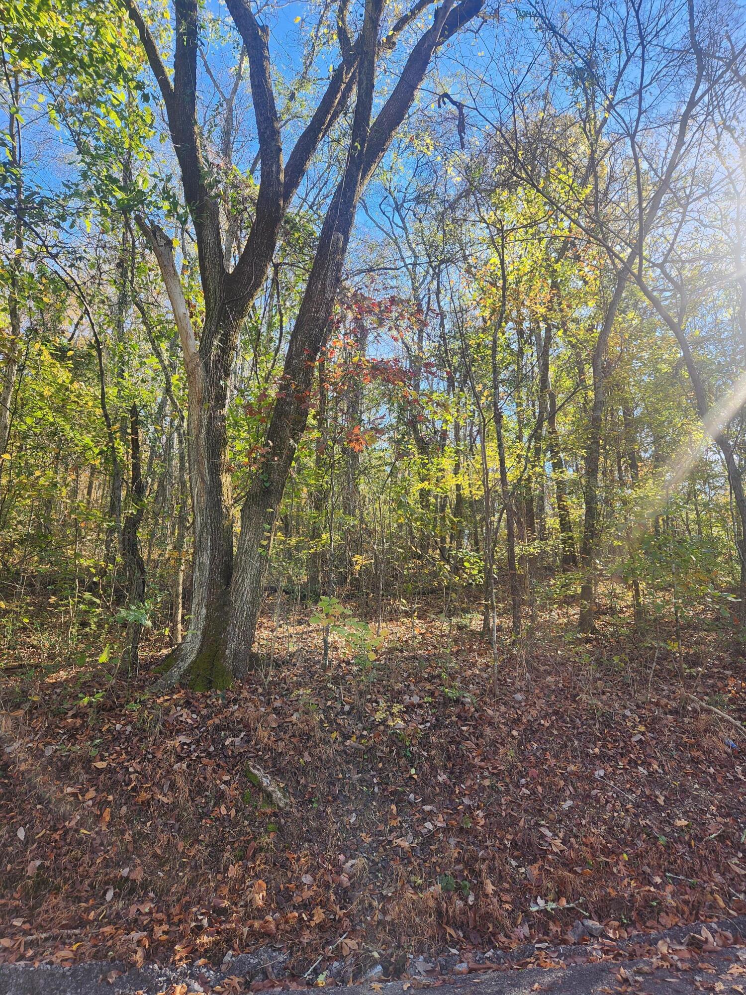 F Graham Road, Dunlap, Tennessee image 8
