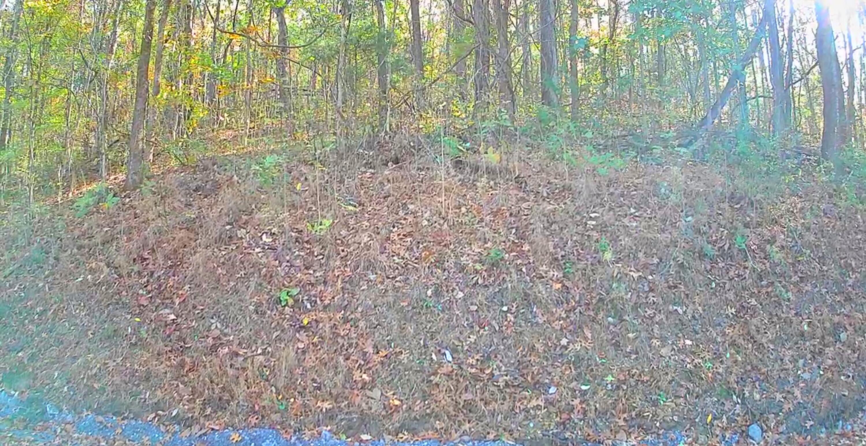 F Graham Road, Dunlap, Tennessee image 19