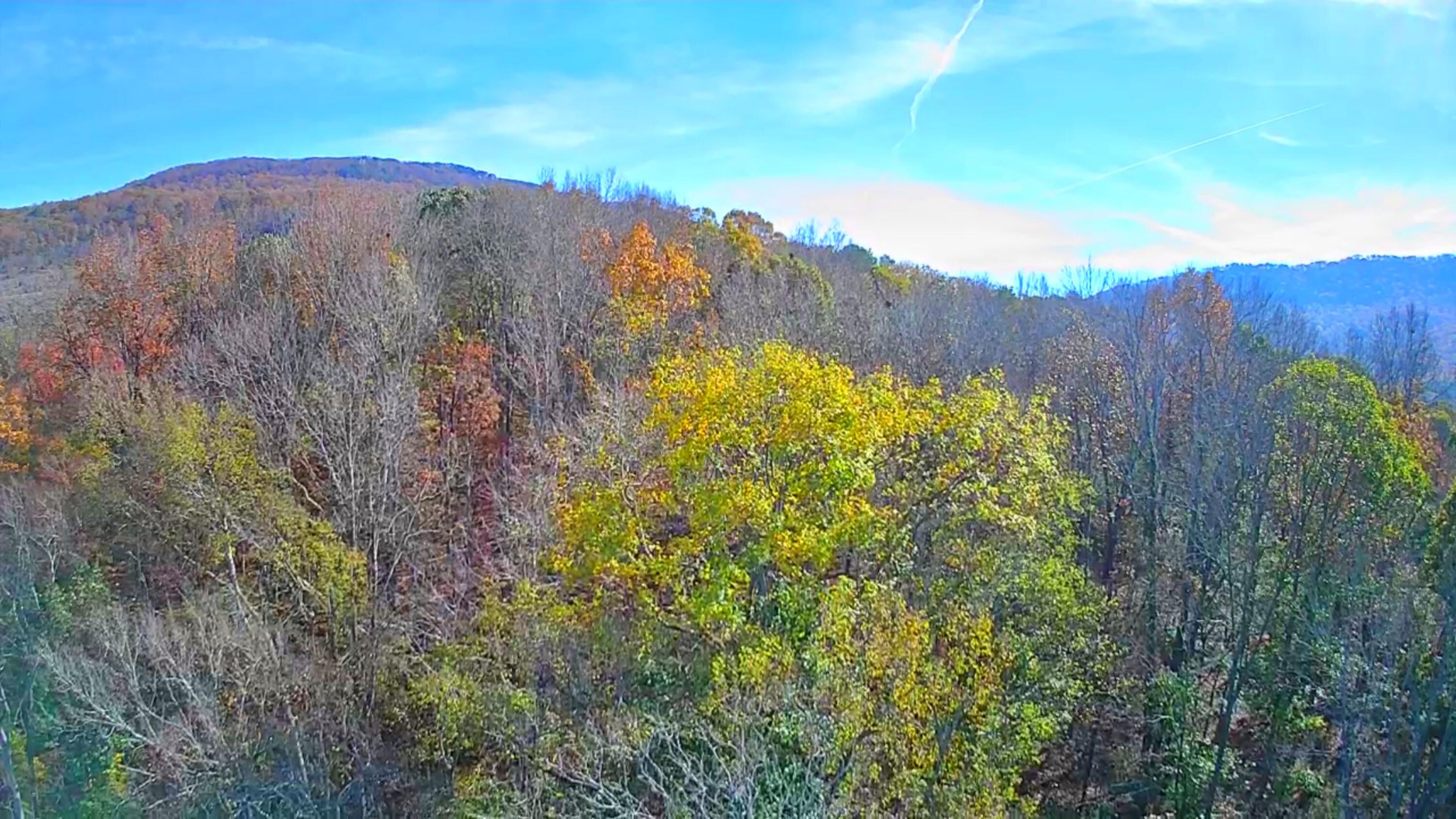 F Graham Road, Dunlap, Tennessee image 3