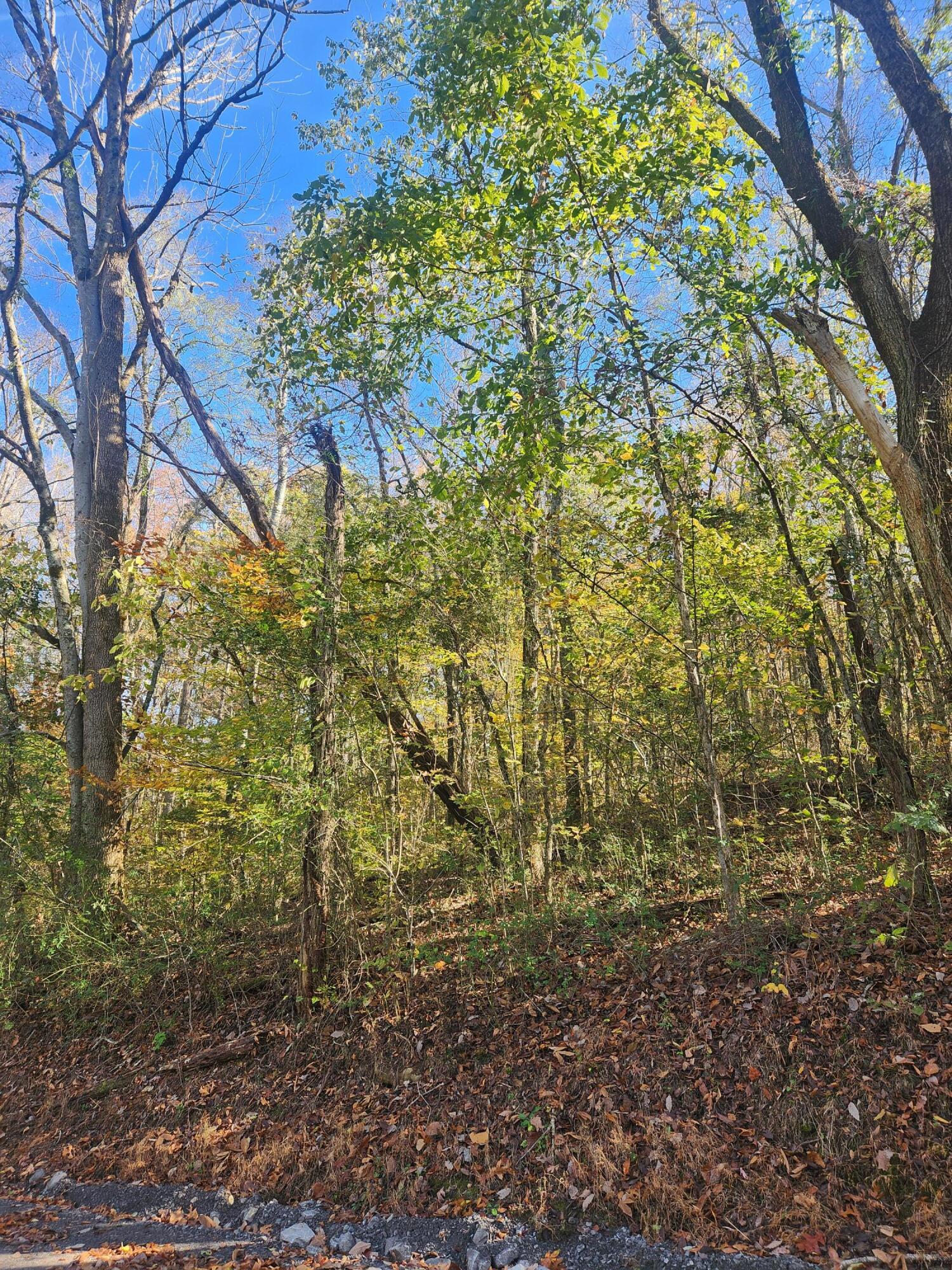F Graham Road, Dunlap, Tennessee image 7
