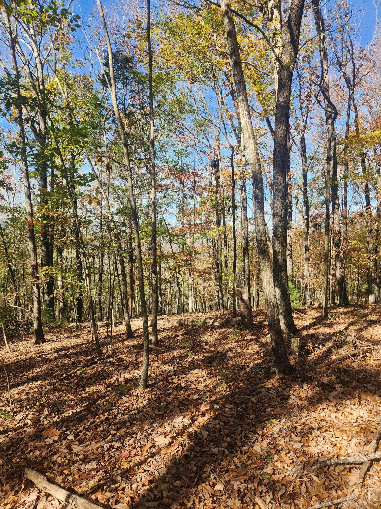 F Graham Road, Dunlap, Tennessee image 14