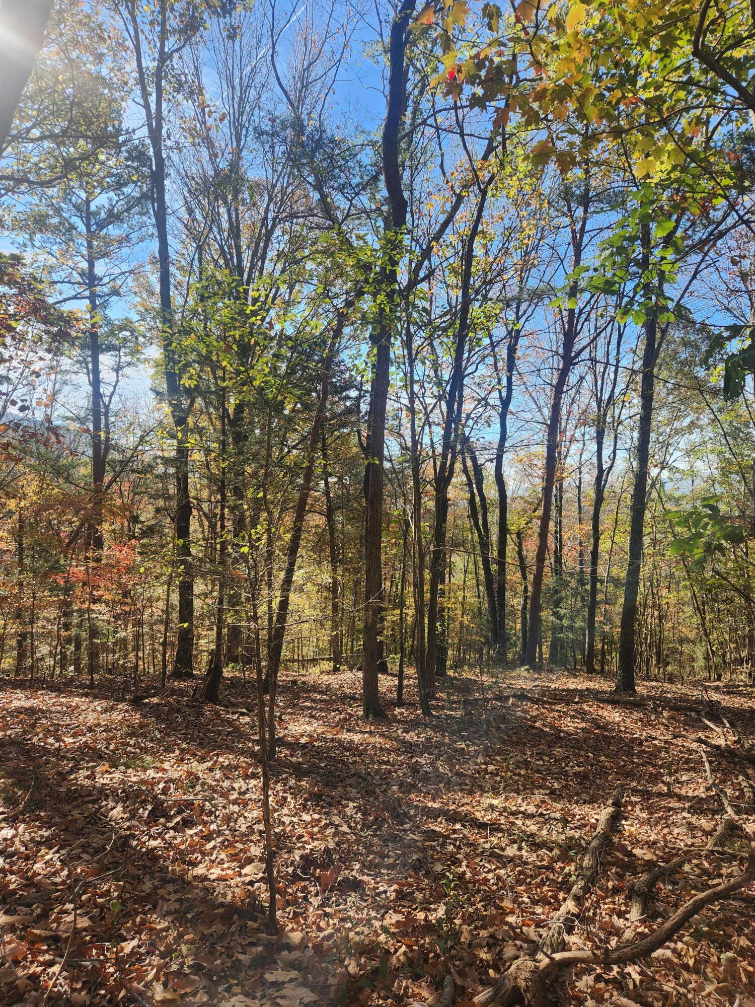 F Graham Road, Dunlap, Tennessee image 16