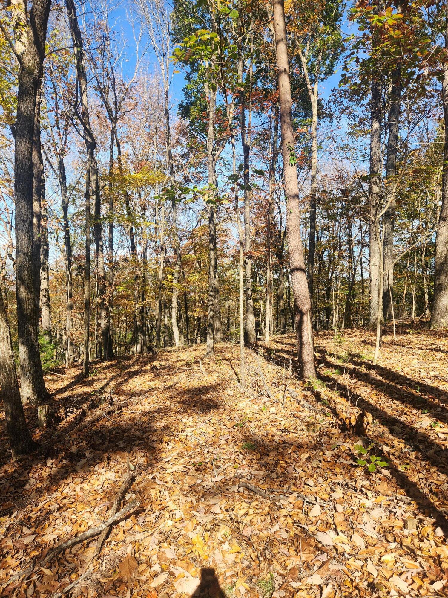 F Graham Road, Dunlap, Tennessee image 13