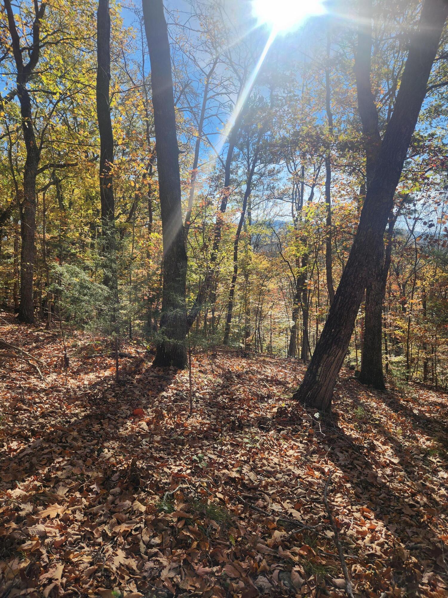 F Graham Road, Dunlap, Tennessee image 17